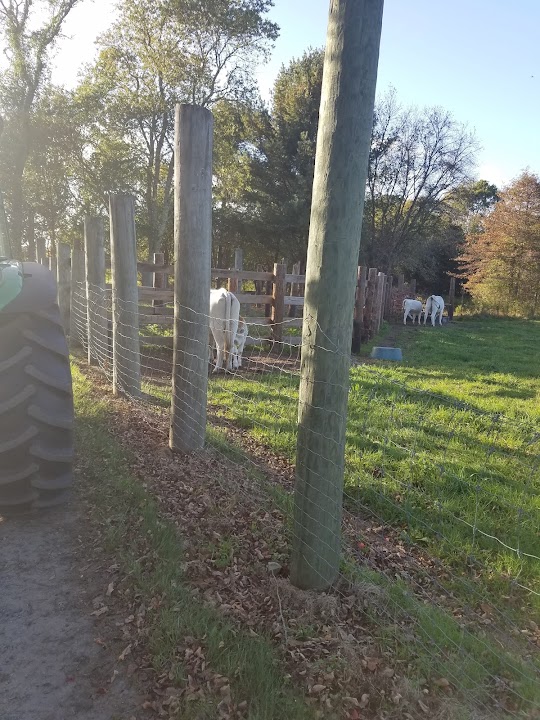 The Silverbrook Farm